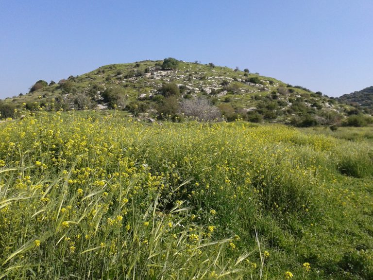 La colline biblique de So'kho (Photo: Haïm Ouizemann- Mars 2014)