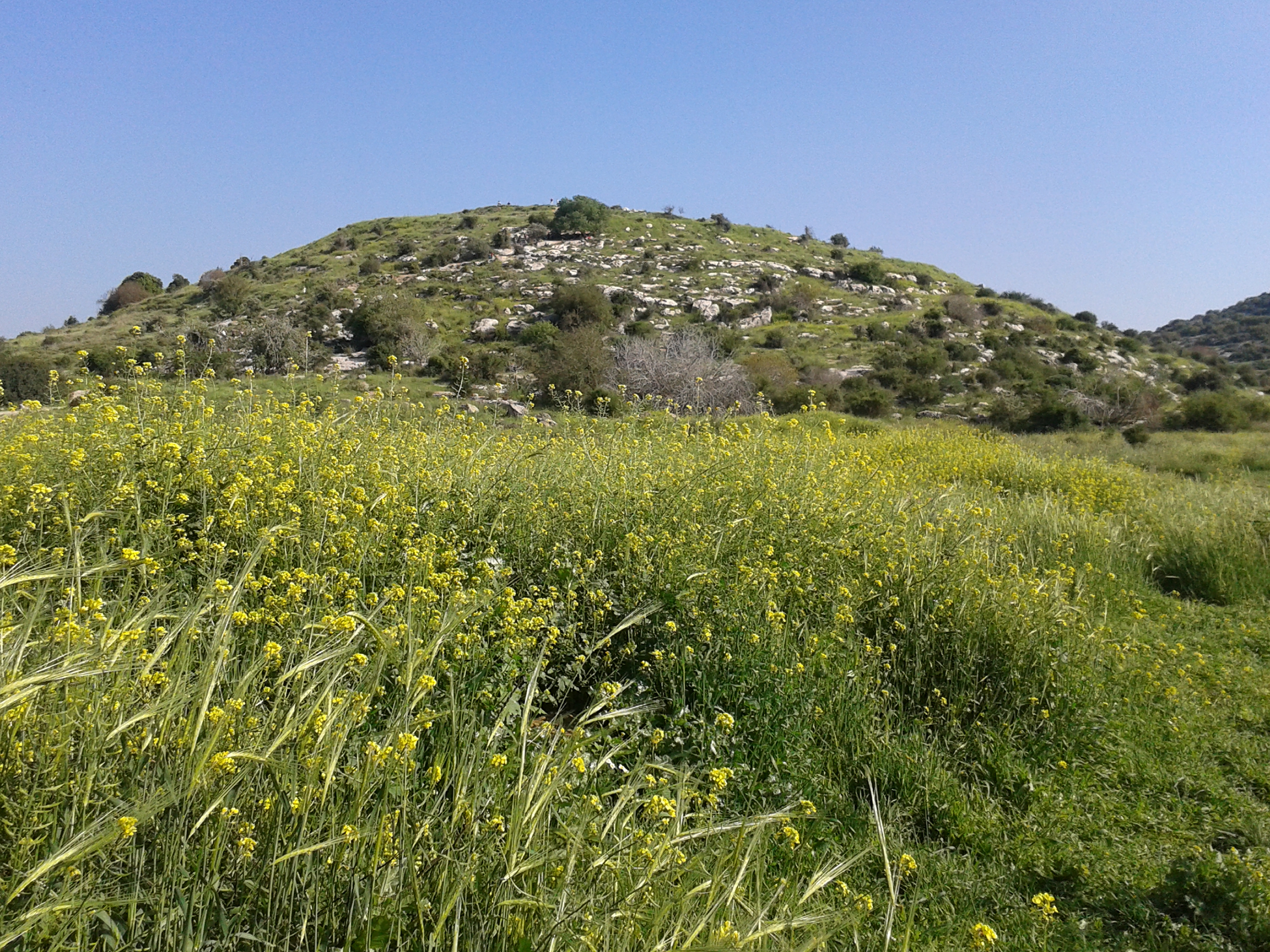 La colline biblique de So'kho (Photo: Haïm Ouizemann- Mars 2014)
