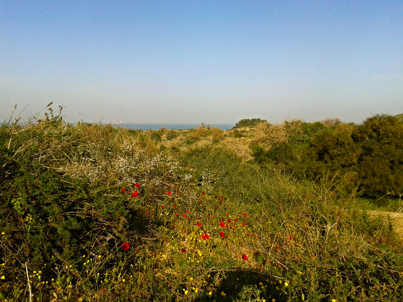 Le Parc national d'Ashkelon (© Photo: Haim Ouizemann)