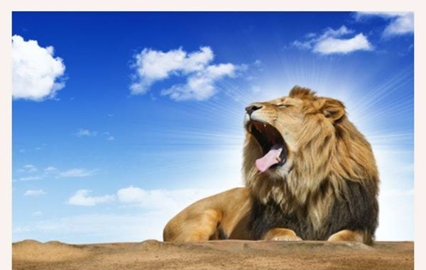 "Il se couche, il repose comme le lion et le léopard: qui osera le réveiller? Bénis sont ceux qui te bénissent! Malheur à qui te maudit" (Gen. 24: 9)