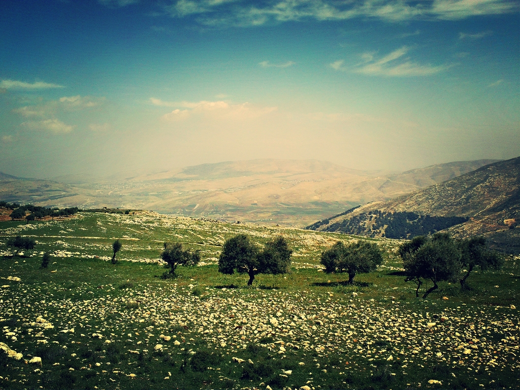 La terre du Patriarche Avraham (© Photo: Haim Ouizemann,mai 2013)