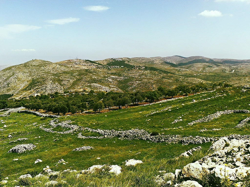 Les monts de Shomron ( Samarie) © Photo: Haim Ouizemann,mai 2013